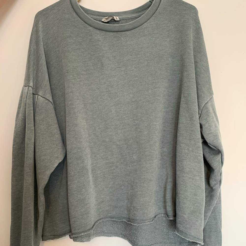 Cropped American eagle sweatshirt